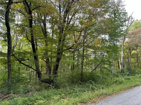 0 Lake Rd, Warren, CT 06754 photo 6