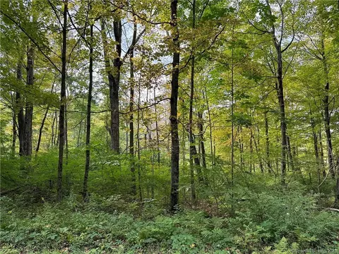 0 Lake Rd, Warren, CT 06754