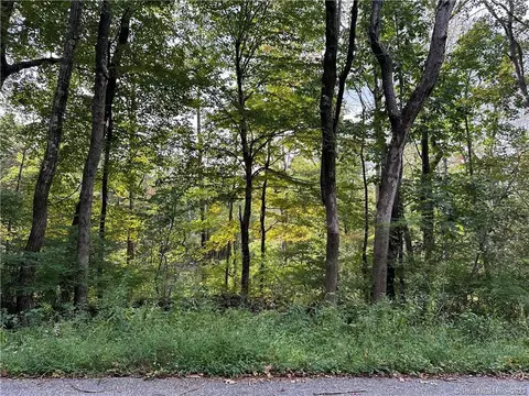 0 Lake Rd, Warren, CT 06754 photo 5
