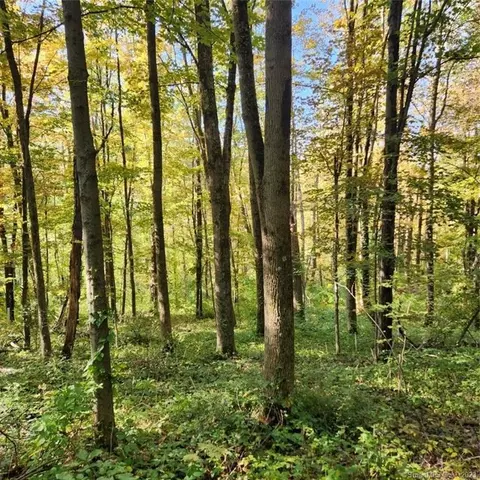 29 Old New Hartford Rd, Barkhamsted, CT 06063