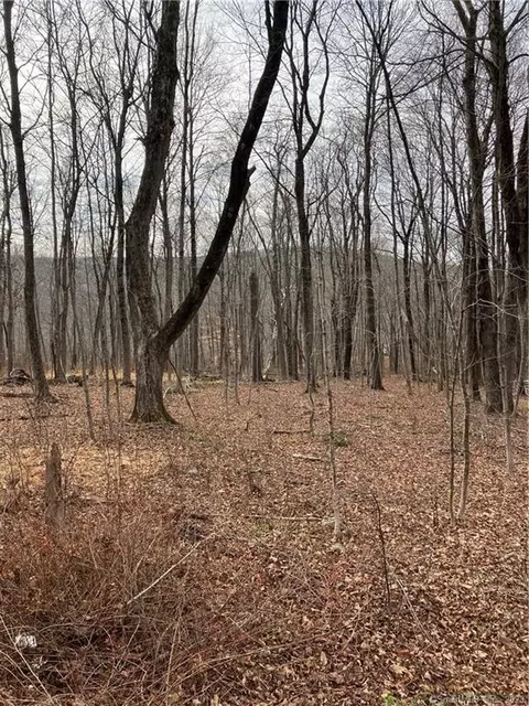 0 Carter Rd, Kent, CT 06757