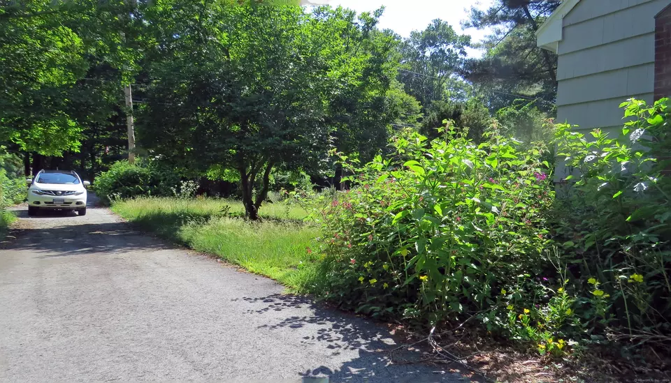 113 Scotland Rd, Madison, CT 06443 19 Photos Movoto