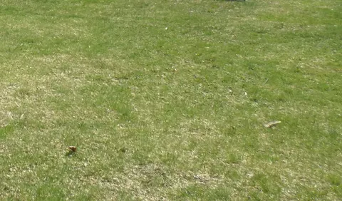 000 Dickerman St, Hamden, CT 06518