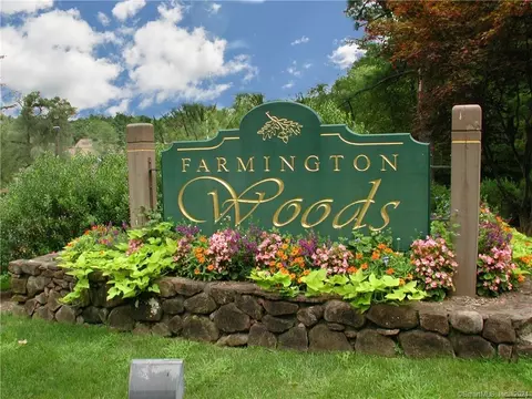 62 Mallard Dr #62, Avon, CT 06001