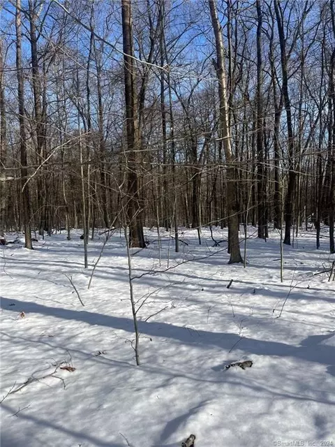 00 Saw Pit Hill Rd, Woodbury, CT 06798