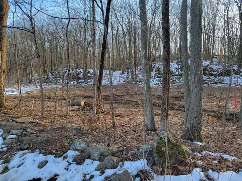 174 Kimberly Ln, Woodbury, CT 06798