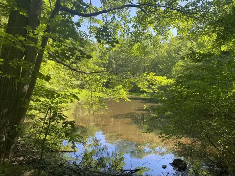 Schroback Road, Plymouth, CT 06782