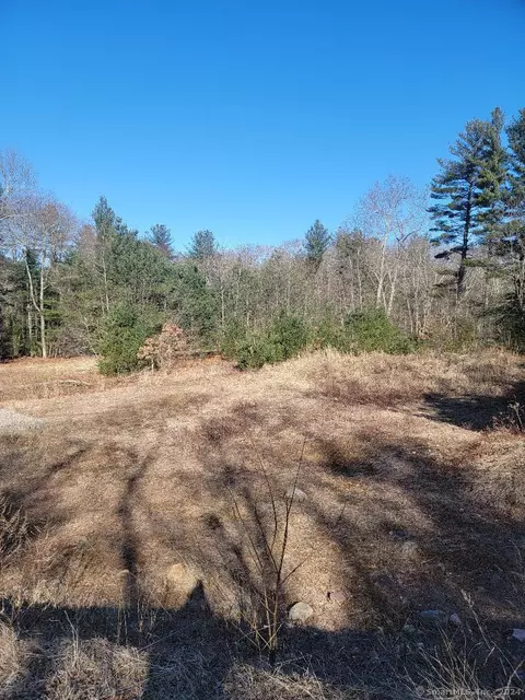 29 Ladd Rd, Ellington, CT 06029