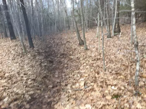 0 Trowbridge Rd, East Haddam, CT 06423