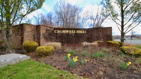 10 Cedarland Ct #10, Cromwell, CT 06416