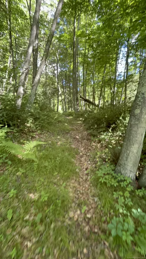 36 Georges Hill Rd, Newtown, CT 06470