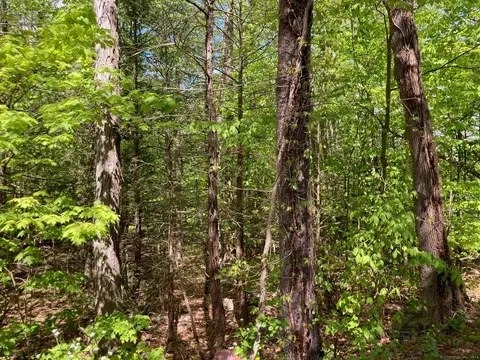 lot A Torringford West St, Torrington, CT 06790