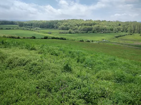 148 153 Wallingford Rd, Durham, CT 06422 photo 34