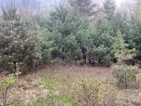 Beffa Road, Stafford, CT 06075