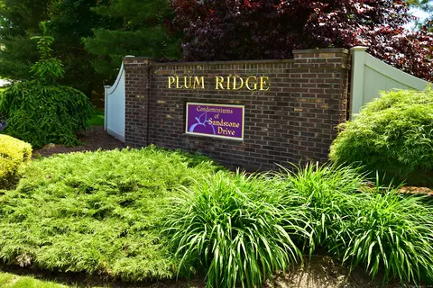 916 Sand Stone Dr #916, South Windsor, CT 06074