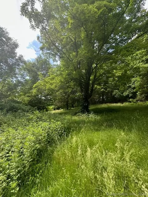 8 Minor Rd, Wolcott, CT 06716