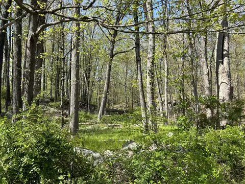 16 Old Farm Rd, Weston, CT 06883