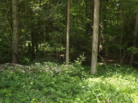 North Moodus Road, East Haddam, CT 06423
