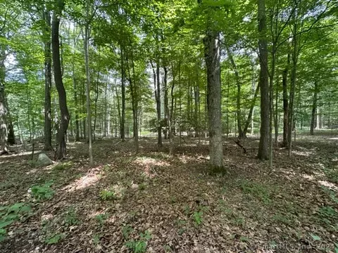 0 Scott Hill Rd, Lebanon, CT 06249