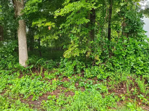 Pleasure Hill Road, Franklin, CT 06254