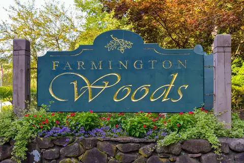 95 Mallard Dr, Farmington, CT 06032