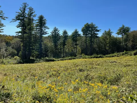 456 English Neighborhood Rd, Woodstock, CT 06281