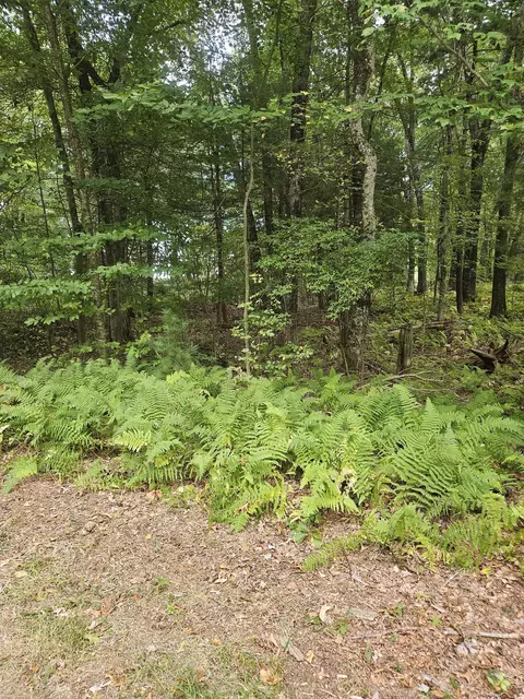 lot22 23 Camp Moween Rd, Lebanon, CT 06249