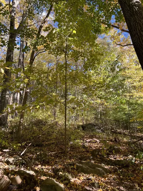 Undisclosed, Southington, CT 06489