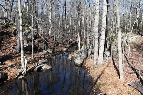 45 Treadwell Ln, Weston, CT 06883