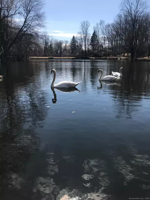 200 Griffin Ave, Bridgeport, CT 06606