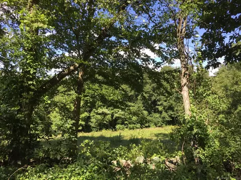 lot Davenport Rd, Roxbury, CT 06783