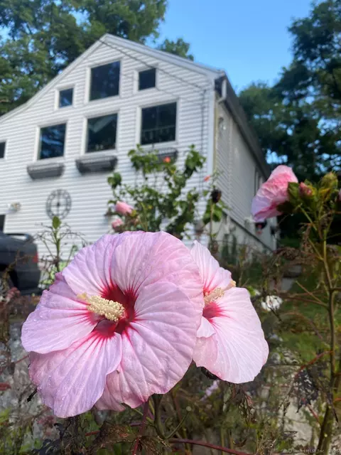 Undisclosed, Stratford, CT 06614