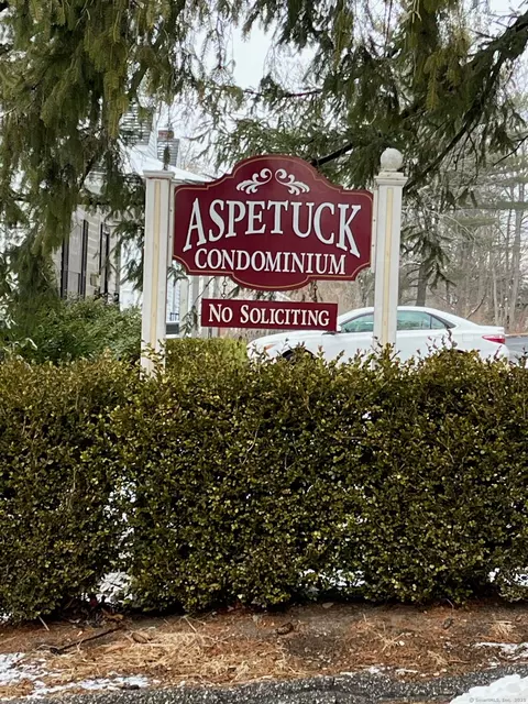 172 Aspetuck Vlg #172, New Milford, CT 06776