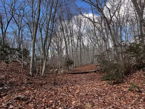 43 Saunders Hollow Rd # -2, Old Lyme, CT 06371