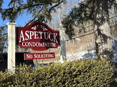 177 Aspetuck Vlg #177, New Milford, CT 06776