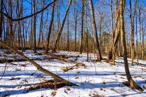 00 Cream Hill Rd, Cornwall, CT 06753