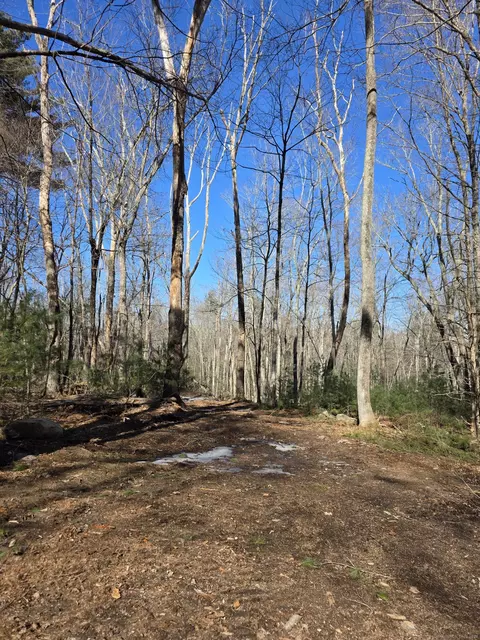 338 Lot 1-1 Brooklyn Rd, Pomfret, CT 06259