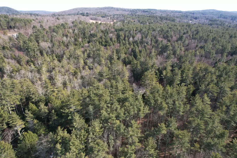  Old Robertsville Road, Winchester, CT 06098 photo 5