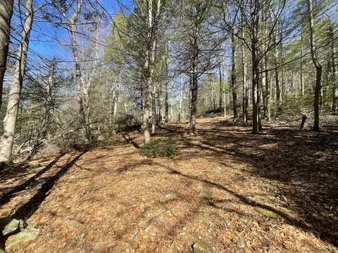 50 Pine Rd, Colebrook, CT 06021