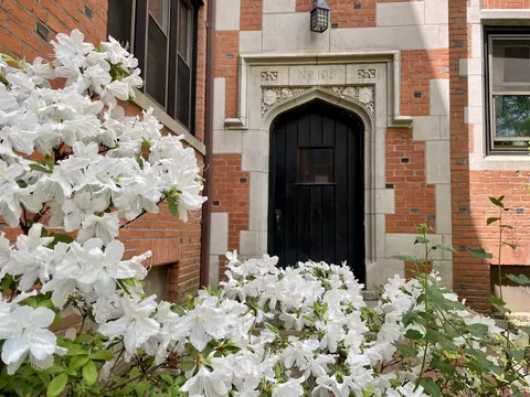 106 Livingston St #C5, New Haven, CT 06511