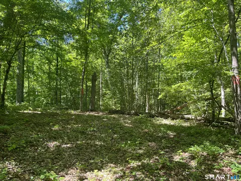 44 Keeler Rd, Sharon, CT 06069 photo 9