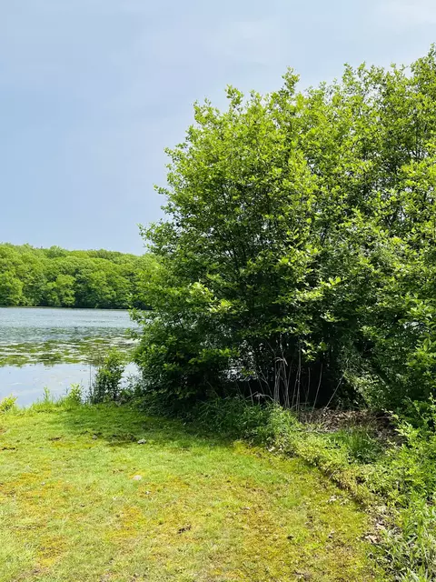 440 Lake Shore Dr, Middlebury, CT 06762