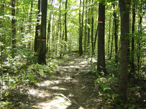 0 Porter Rd, Ellington, CT 06029 photo 6