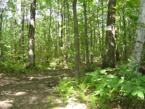0 Porter Rd, Ellington, CT 06029 photo 13