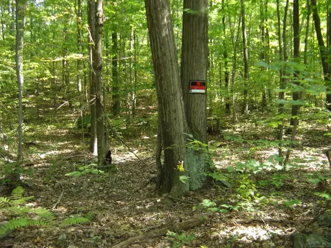 0 Porter Rd, Ellington, CT 06029 photo 5