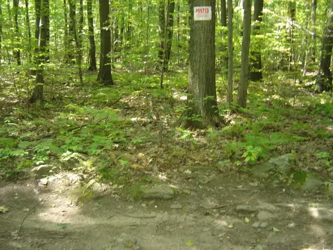 0 Porter Rd, Ellington, CT 06029 photo 4