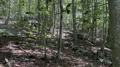 Norwich Salem Road, East Haddam, CT 06423