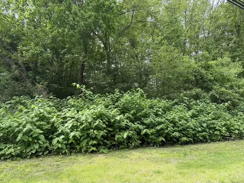 2 Sandra Ave, Plymouth, CT 06786