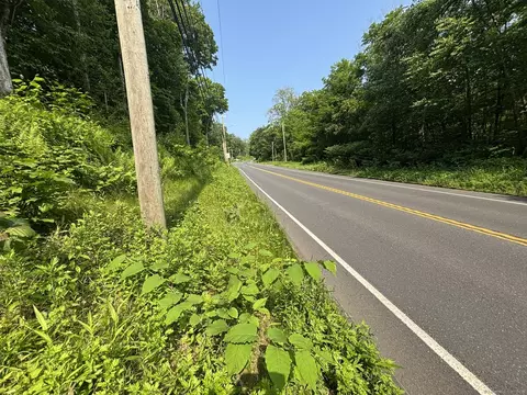 44 Cheshire Rd, Prospect, CT 06712