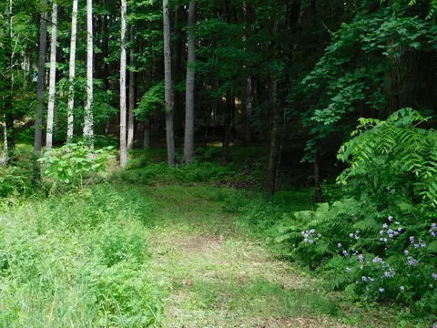 215 Taconic Rd, Salisbury, CT 06068